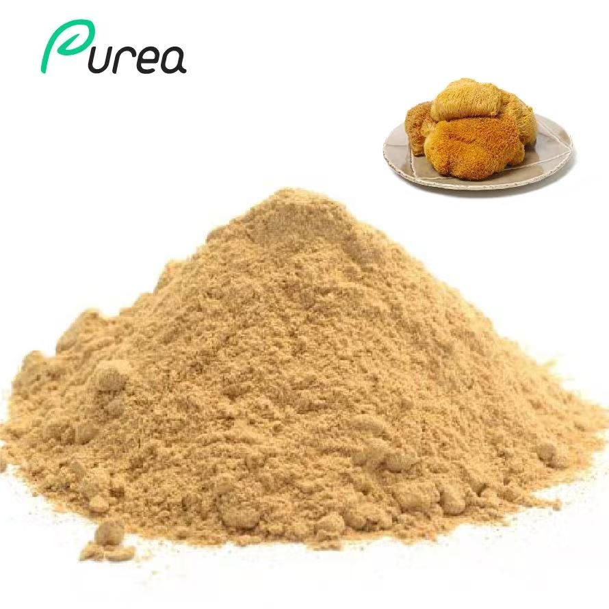 Hericium Erinaceus sēņu ekstrakta pulveris