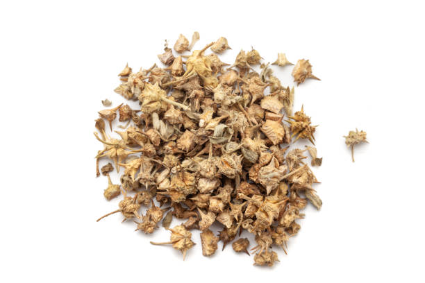 Tribulus Terrestris